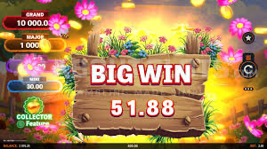 Bet The Farm Power Combo slot big win