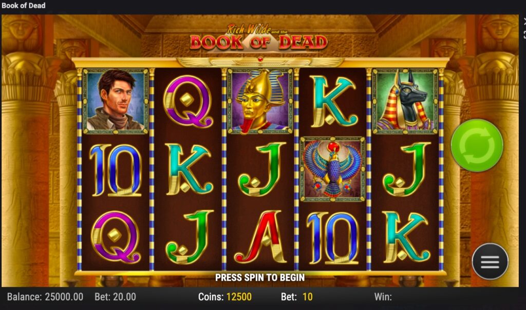 Book of Dead slot gameplay